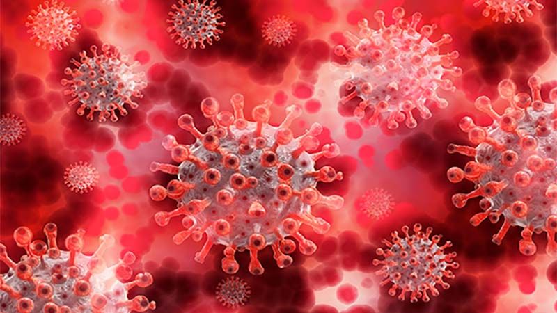 &Oacute;micron se multiplica 70 veces m&aacute;s r&aacute;pido en los bronquios humanos que la delta