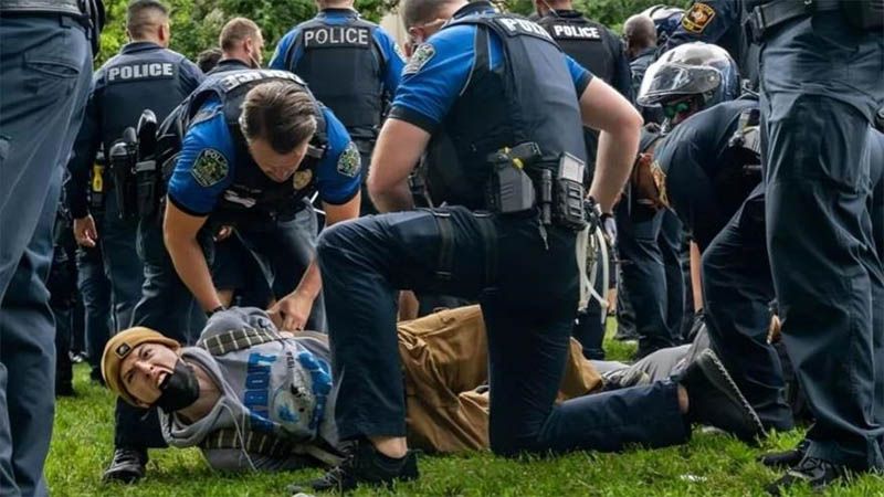 Despiden a 76 acad&eacute;micos en Estados Unidos y Canad&aacute; por apoyar a Palestina