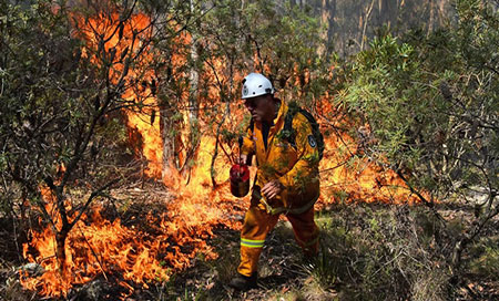 los incendios forestales en Australia Grandes incendios forestales afectan el sur de Australia
