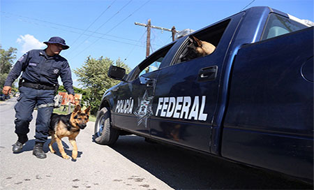 policia mexicana Detienen a uno de los autores en la desaparición de 43 estudiantes